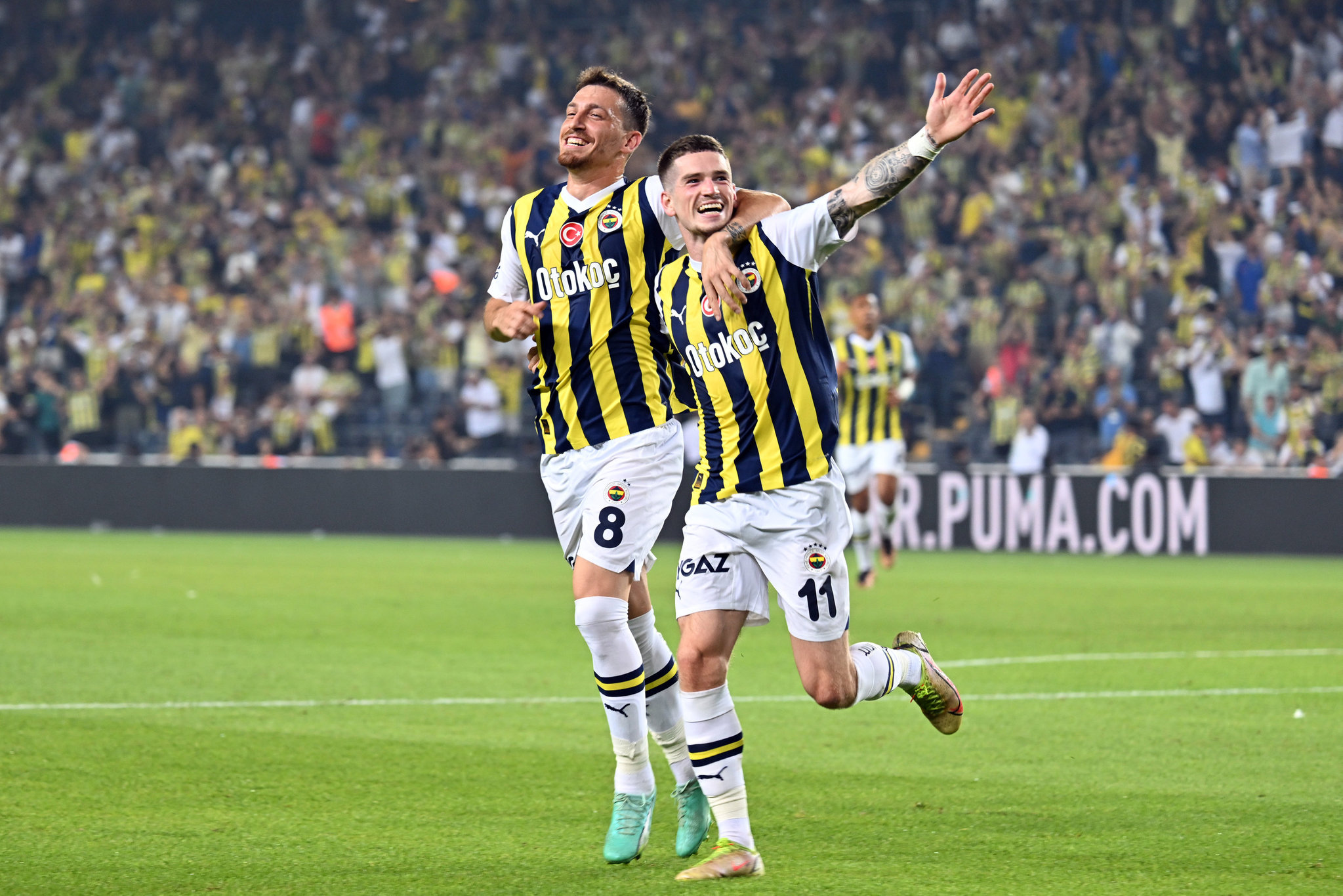 Fenerbahçe Macerası