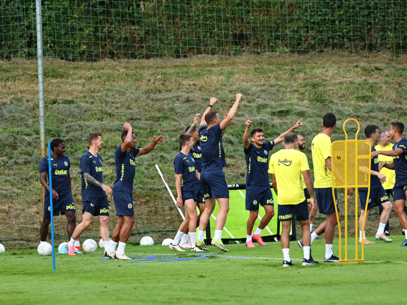 Fenerbahçe'nin Transfer Hedefi: Martin Terrier