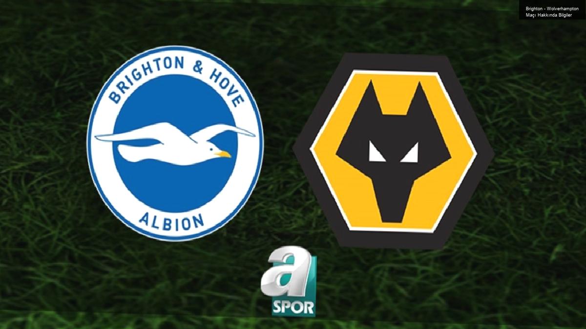 Brighton – Wolverhampton Maçı Hakkında Bilgiler