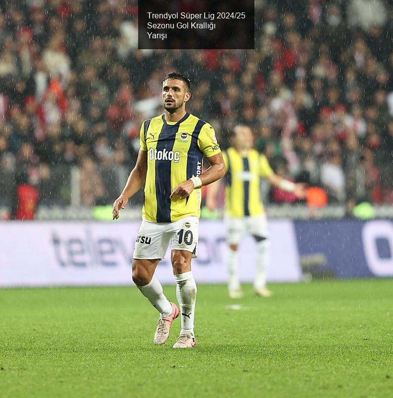 Trendyol Süper Lig 2024/25 Sezonu Gol Krallığı Yarışı