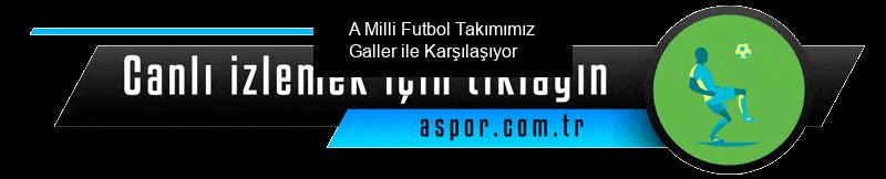 A Milli Futbol Takımımız Galler ile Karşılaşıyor